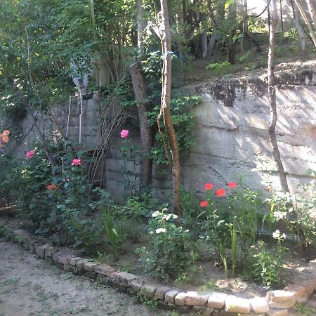 Guesthouse Malkhazi Bordżomi Zewnętrze zdjęcie